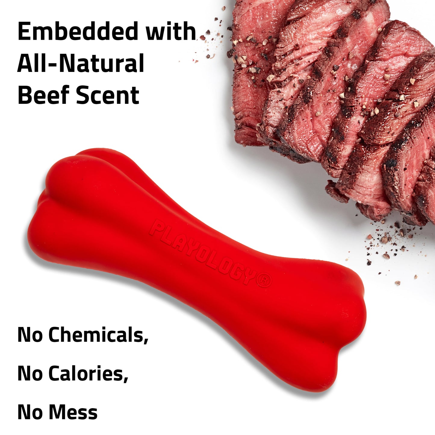 Play by Dog Toys | Interactive Dog Toy Bone | Scented Crunchy Bone, Large