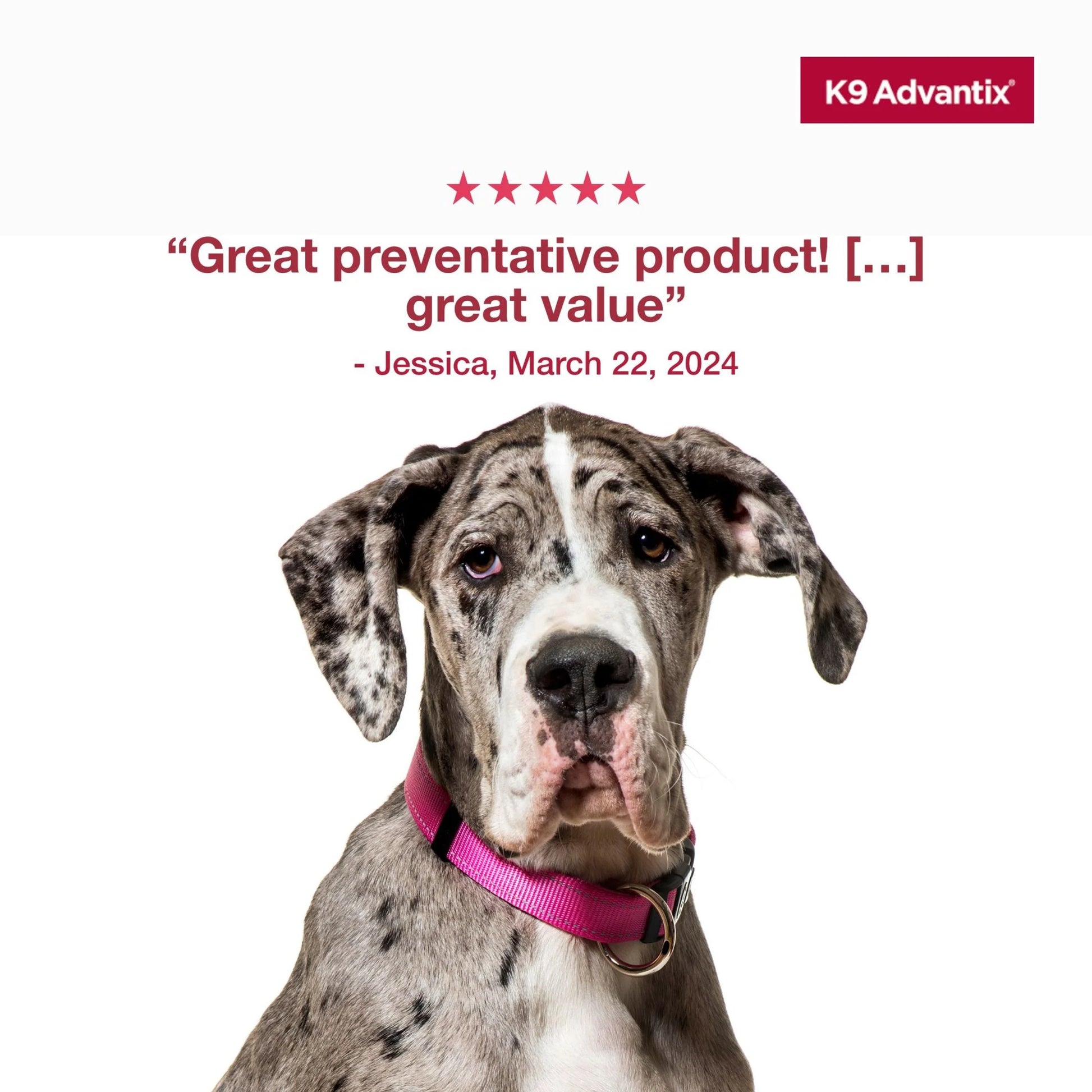 K9 Advantix Flea, Tick & Mosquito Prevention for Extra Large Dogs over 55 Lbs., 2-Monthly Treatments