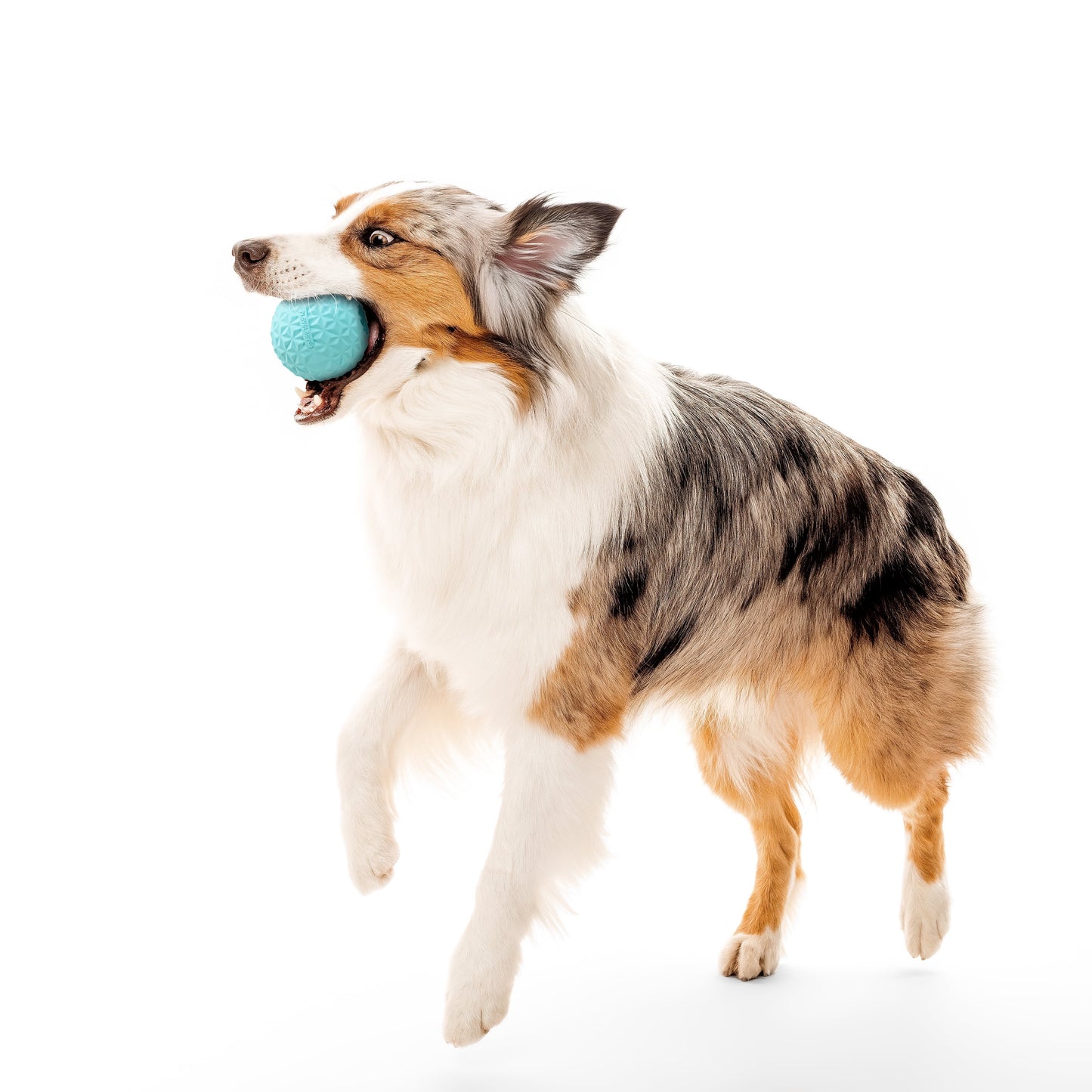 Play by  Dog Toys | Interactive Dog Balls | Crunchy Ball Toy 2-Pack