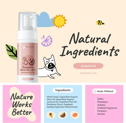 Waterless Dry Shampoo for Dogs - Rinse-Free, Eliminate Itch and Odor, Natural Formula with Witch Hazel, Coconut Oil, Olive Oil and Grapefruit - Made in USA