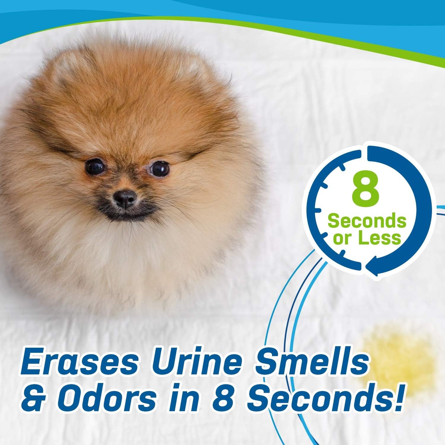Dog Stain and Odor Eliminator Enzyme Cleaner | Removes Urine Smell in under 10 Seconds - Powerful Bioactive Solution for Carpet, Dog Beds, Furniture, Car Upholstery, Kennels (32Oz Spray)