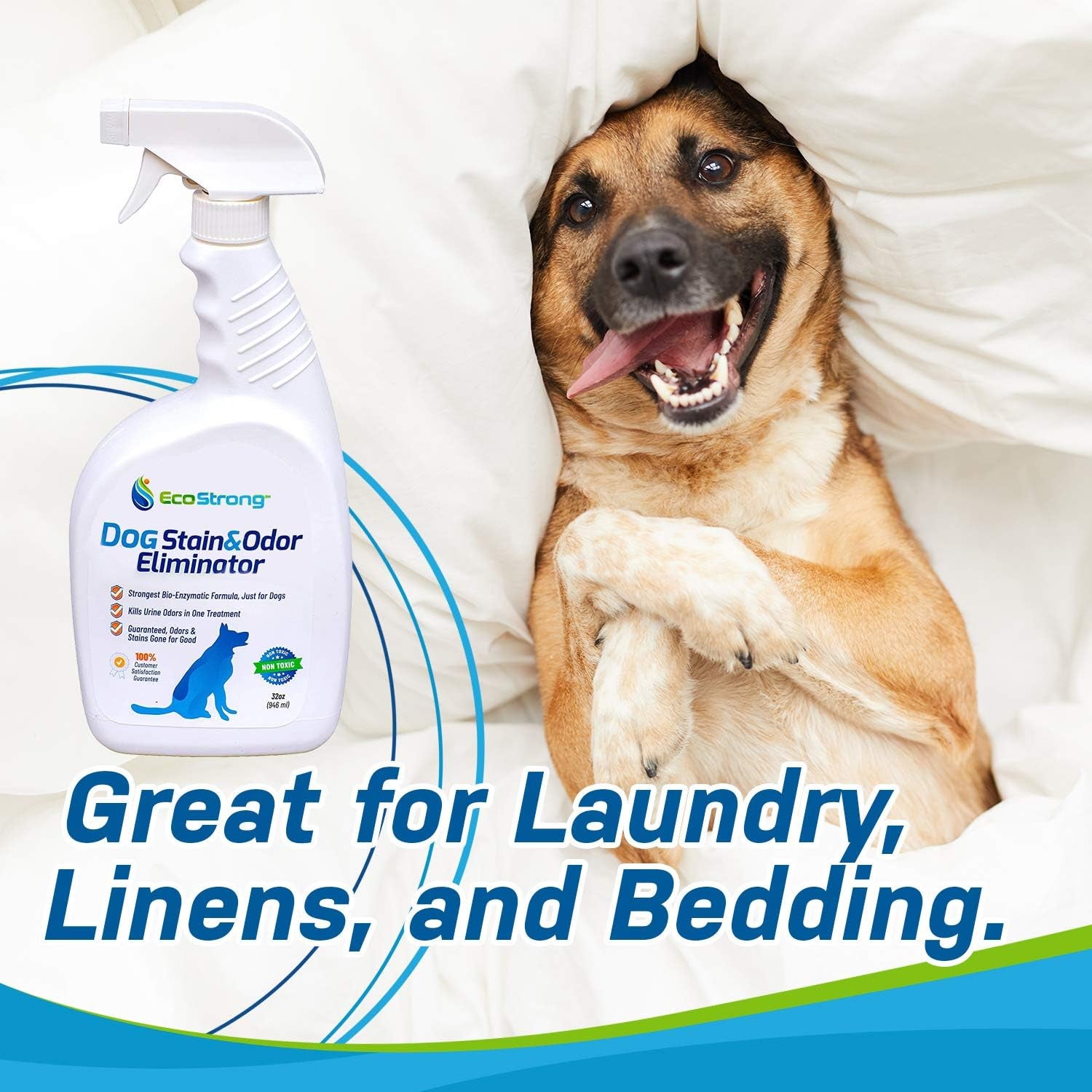 Dog Stain and Odor Eliminator Enzyme Cleaner | Removes Urine Smell in under 10 Seconds - Powerful Bioactive Solution for Carpet, Dog Beds, Furniture, Car Upholstery, Kennels (32Oz Spray)