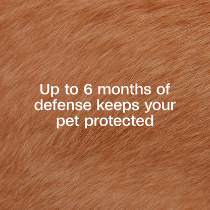 Flea & Tick Collar for Dogs & Puppies, 2 Pack, 12 Month Protection, Adjustable One Size, Kills Fleas, Ticks & Repels Mosquitoes, excluding California